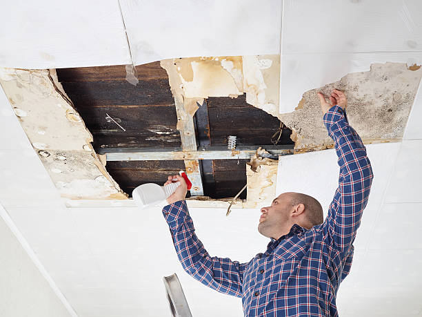 Mold Remediation for Vacation Homes in Ben Avon, PA